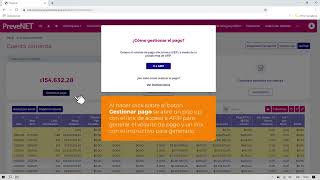 PreveNET – menú Cuenta Corriente [upl. by Alenoel137]