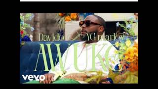 Davido ft YG Marley  Awuke official Audio [upl. by Naot286]