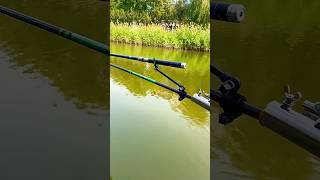 Multifunctional fishing platform accessoriefishing viralvideo viralshorts video short [upl. by Enirhtak]