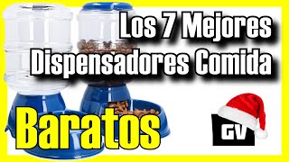 🐶 7 MEJORES Dispensadores de Comida Automáticos BARATOS Amazon 2024✅CalidadPrecio Perros Gatos [upl. by Annaeed]