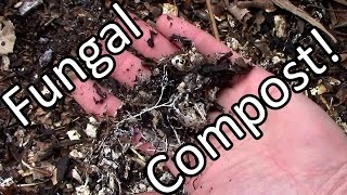 Free Fungally Dominated Compost amp Mulch [upl. by Trefor269]