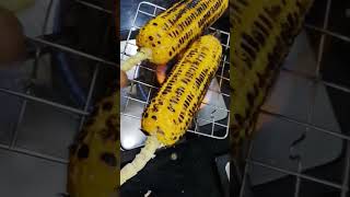 Roasted Sweet corn 🌽  A popular Indian Street food shorts madh ki kitchen viralshorts bhutta [upl. by Yrroc172]