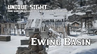 Ewing Basin  Unique Sight RDRII [upl. by Ayhtnic]