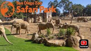 Safari Park Elephant Valley Update February 2024 [upl. by Bushweller]