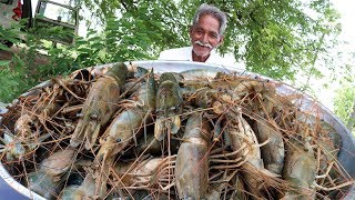 Big Shrimp Curry  Giant prawns Recipe  Yummy Prawns Recipe By Grandpa Kitchen [upl. by Natalya]