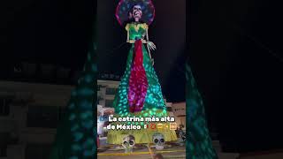 diademuertos 2024 vallarta mexico ✨🇲🇽🌅🦴 [upl. by Enerak297]