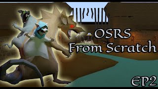 Runescape from scratch episode 2  Regicide [upl. by Hut439]