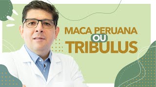 Maca peruana ou tribulus terrestres qual escolher  Dr Juliano Teles [upl. by Enila136]