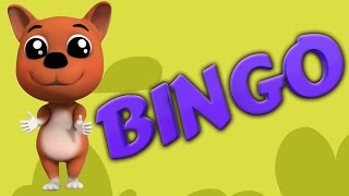 Bingo der Hund  Lied für Kinder  BingoLied  Baby Bao Panda  Kids Rhyme  Bingo The Dog [upl. by Fusco]