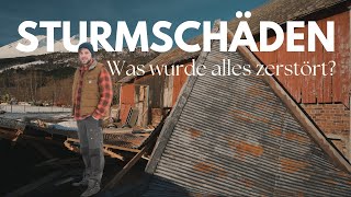 Damit haben wir nicht gerechnet  Sturmschäden auf unserem Hof I Folge 20 [upl. by Conrado94]