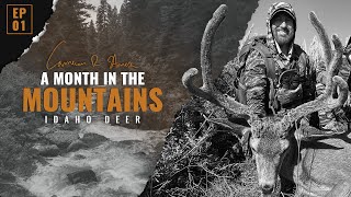 Idaho Mule Deer  ep 1  A Month in the Mountains [upl. by Irej]