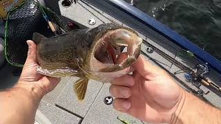 Fishing Sturgeon Lake Ontario for a Bight [upl. by Eenaj489]