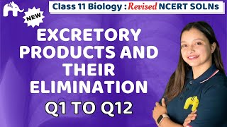 Excretory Products and their Elimination Class 11 Biology  NCERT Solutions Chapter 16 Question 112 [upl. by Gide]