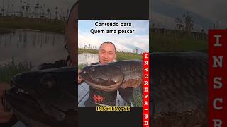 TRAIRÃO NA BEIRA DO RIO fishing pescaria jpfishingbrasil 釣り pesca [upl. by Jeane]