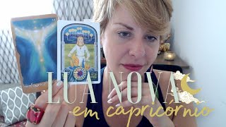 🌚♑  LUA NOVA  em capricórnio  tarot  POR SIGNO  com minutagem [upl. by Suoivatnom478]