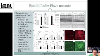 Estabilidade e degradação da proteína ligadora de elementos responsíveis a esteróis SREBP [upl. by Stinky723]