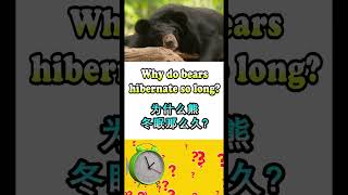 Why do bears🐻 hibernate so long Riddles and Giggles脑筋急转弯 [upl. by Pacorro]