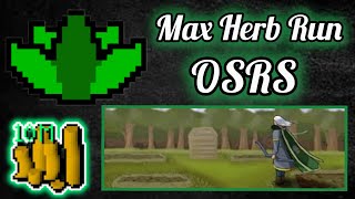 OSRSMAX HERB RUN IS MONEY [upl. by Raf388]