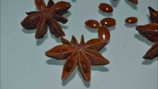 Star anise poisoning side effects [upl. by Jackie]