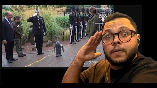 Sir Nils Olav promoted to Brigadier by Norwegian Kings Guard BAGRCELOS REACTS [upl. by Sibel909]