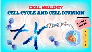 Division 1  Multiplication and division  Arithmetic  Khan Academy [upl. by Crysta159]