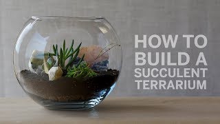 How To Build a Succulent Terrarium [upl. by Dualc]