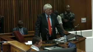 Oscar Pistorius Trial Friday 9 May 2014 Session 2 [upl. by Vial324]