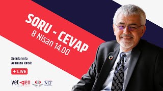 YetGenliler Soruyor Erhan Erkut Cevaplıyor 13 [upl. by Repohtsirhc]