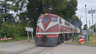 persecución al tren Santiago  Temuco hasta Laja [upl. by Dilan785]