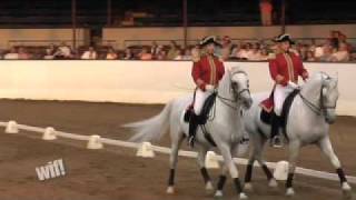 Behind the Scenes of the World Famous Lipizzaner Stallions [upl. by Rakel546]