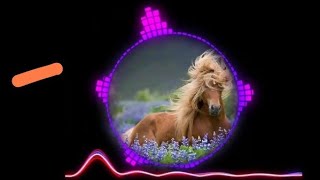 Lakdi Ki Kathi Dj Remix Full Song In Hindi 🐴🐴 [upl. by Akanke476]