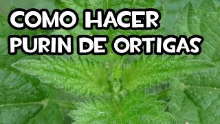 Cómo Hacer el Purin de Ortigas  Paso a Paso [upl. by Rohclem]