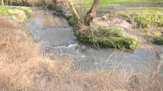 LA RIVIERE DU MORBRAS AU PARC DORMESSONSURMARNE [upl. by Albers]