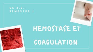 UE 22 Hémostase et coagulation  Tout comprendre en 3 min [upl. by Alcinia]