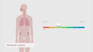 Understanding the acidbase balance – Radiometer [upl. by Itsirk]