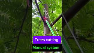 Trees cutting viralvideo thesoundofwaterdr [upl. by Nalyorf926]