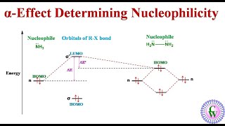 αEffect Determining Nucleophilicity [upl. by Geoff94]