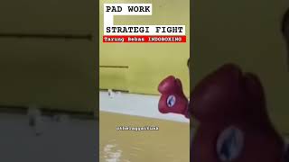 Pad work drills strategi fight indoboxing combatsport [upl. by Latrell583]