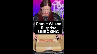 Carnie Wilson Gets a Special Beach Boys Delivery  Vinyl Obsession [upl. by Cocke]