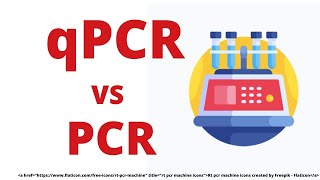 qPCR DATA ANALYSIS  REAL TIME PCR [upl. by Jacquetta]