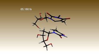 Repair of cyclobutane thymine dimer [upl. by Robbins224]