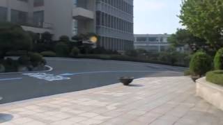 Sogang University campus tour [upl. by Danita]