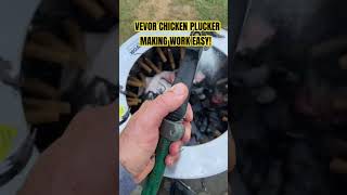 VEVOR CHICKEN PLUCKER MAKING WORK EASY [upl. by Joses115]