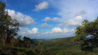 Beautiful Nature Video Kerala  FHD [upl. by Ellary525]