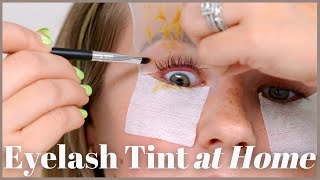 Eyelash Tint At Home [upl. by Ettenal]