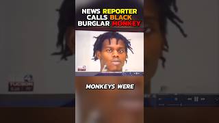 News Reporter Says The Unthinkable About Black Burglar [upl. by Acsehcnarf]