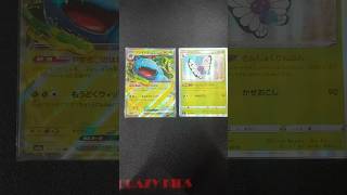 VENUSAUR BUTTER FREE VÔ quotNATIONAL POKEDEX BINDER quot [upl. by Let660]