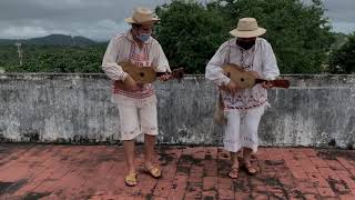 Mejorana Panamá Baile Ocueño Mejorana por 25  Ocú [upl. by Nahej]