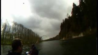 Steelhead on the Cowlitz with Todd Daniels [upl. by Kciwdahc]