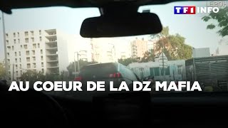 Au coeur de la DZ mafia｜TF1 INFO [upl. by Rednasela864]